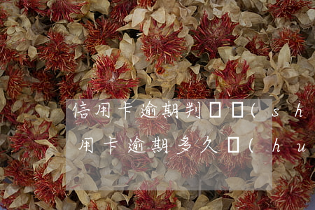 信用卡逾期判決書(shū)多久生效(欠信用卡逾期多久會(huì)被起訴)
