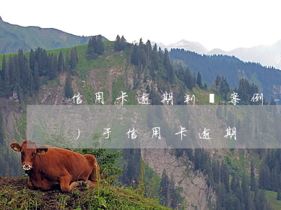 信用卡逾期判決案例-民法典關(guān)于信用卡逾期