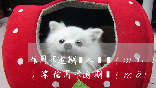 信用卡逾期別人幫買(mǎi)飛機(jī)票(信用卡逾期買(mǎi)了飛機(jī)票能上飛機(jī)嗎)
