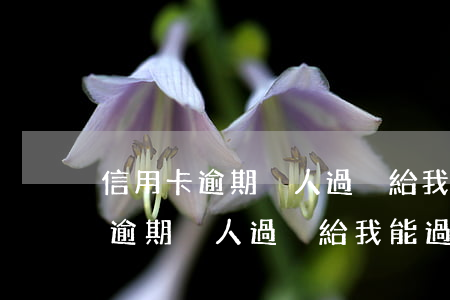 信用卡逾期別人過戶給我能過戶嗎-信用卡逾期別人過戶給我能過戶嗎安全嗎