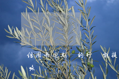 信用卡逾期別的行還能提額嗎(逾期影響提額嘛)