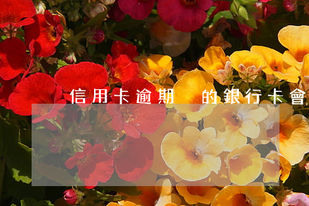 信用卡逾期別的銀行卡會凍結嗎
