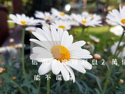 信用卡逾期利息2萬 信用卡逾期利息2萬多能不還嘛