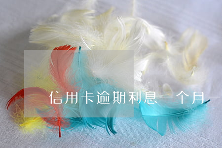 信用卡逾期利息一个月一千