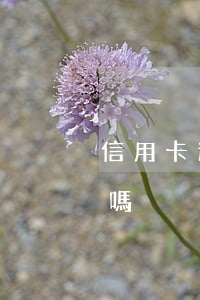 信用卡逾期利息一毛錢(信用卡逾期利息合法嗎)