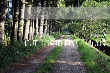 信用卡逾期利息一直加怎么辦 信用卡逾期