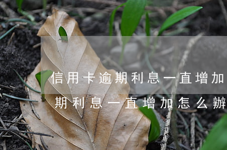 信用卡逾期利息一直增加怎么辦-信用卡逾期利息一直增加怎么辦呢