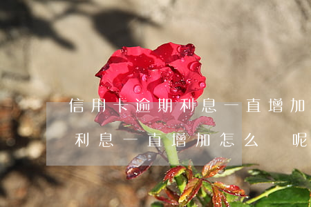 信用卡逾期利息一直增加怎么辦(信用卡逾期利息一直增加怎么辦呢)