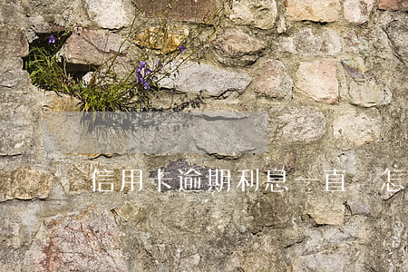 信用卡逾期利息一直漲怎么辦