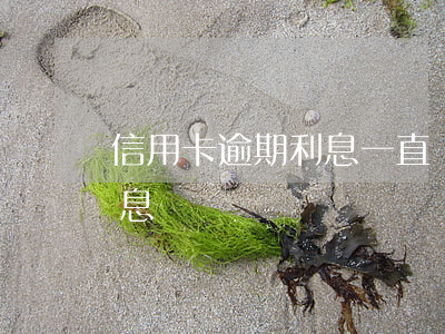 信用卡逾期利息一直漲還不起(信用卡 逾期利息)