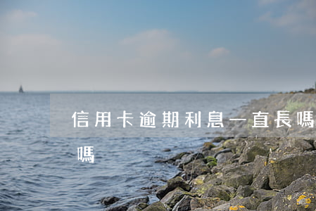 信用卡逾期利息一直長嗎(銀行卡逾期有利息嗎)