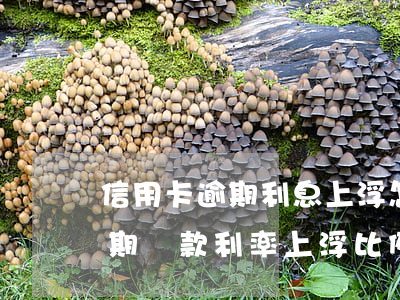 信用卡逾期利息上浮怎么計(jì)算-逾期貸款利率上浮比例為多少
