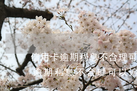 信用卡逾期利息不合理可以追回嗎-信用卡逾期利息不合理可以追回嗎怎么辦