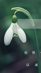 信用卡逾期利息不能減免-逾期貸款利息可以減免嗎