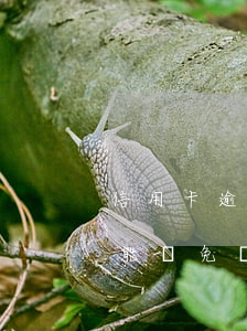 信用卡逾期利息不能減免(信用卡逾期利息不能減免嗎)