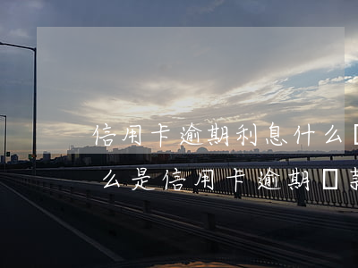 信用卡逾期利息什么時(shí)候支付(什么是信用卡逾期還款)