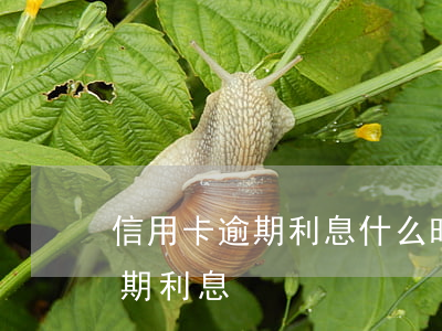 信用卡逾期利息什么時候扣(各銀行信用卡逾期利息)