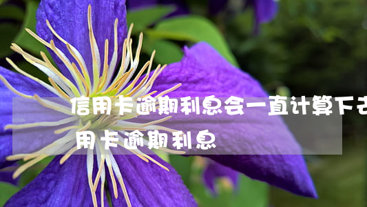 信用卡逾期利息会一直计算下去吗(各银行信用卡逾期利息)
