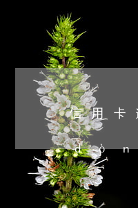 信用卡逾期利息何時(shí)不再滾動(dòng)