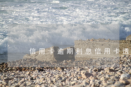 信用卡 逾期利息（信用卡透支逾期訴訟時效）