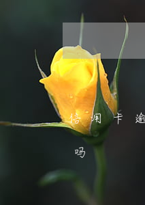 信用卡 逾期利息（信用卡逾期会一直计算利息吗）