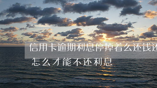 信用卡逾期利息停掉着么还钱(还逾期信用卡怎么才能不还利息)