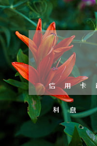 信用卡逾期利息判決-信用卡 逾期罰息 逾期利息