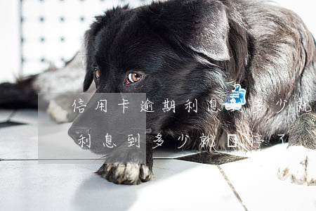 信用卡逾期利息到多少就暫停了(信用卡逾期利息到多少就暫停了)