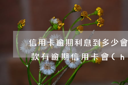 信用卡逾期利息到多少會(huì)被停(貸款有逾期信用卡會(huì)被停嗎)