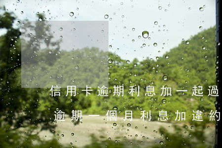 信用卡逾期利息加一起過五萬-5萬信用卡逾期一個月利息加違約金