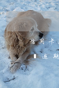 信用卡逾期利息加罰息快一倍了(欠信用卡6萬逾期一年罰息)