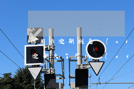 信用卡逾期利息協(xié)商減免(信用卡逾期久了可以協(xié)商免息嗎)