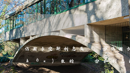 信用卡逾期利息及違約金(信用卡逾期產(chǎn)生的違約金和利息法院怎么判)