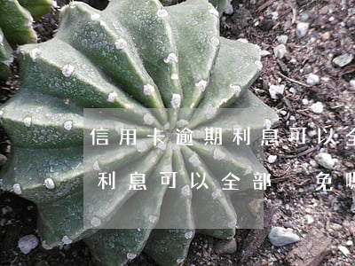 信用卡逾期利息可以全部減免嗎(信用卡逾期利息可以全部減免嗎嗎)