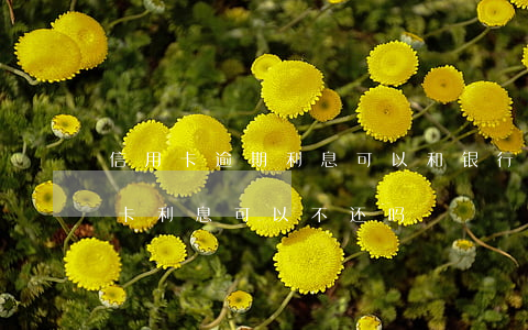 信用卡逾期利息可以和银行协商吗-欠信用卡利息可以不还吗