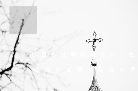 信用卡逾期利息可以減免么(向銀行申請減免信用卡逾期利息怎么申請)