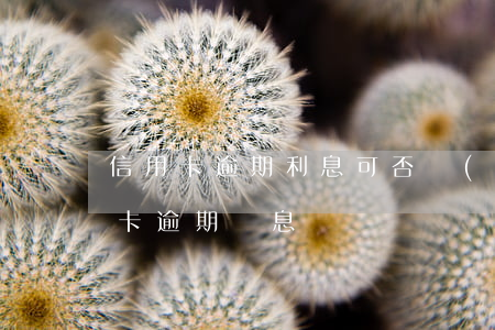 信用卡逾期利息可否調(diào)-信用卡 逾期 罰息