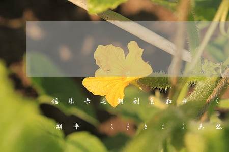 信用卡逾期利息和年費(fèi)(信用卡逾期年費(fèi)怎么辦)