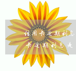 信用卡逾期利息和手續(xù)費(銀行信用卡逾期利息是多少)