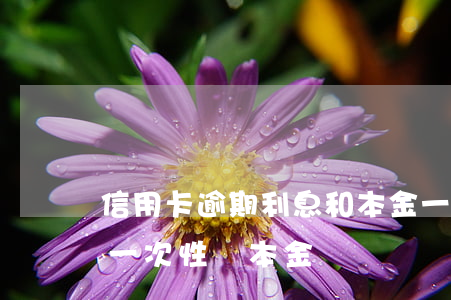 信用卡逾期利息和本金一樣要還嗎(欠信用卡一次性還本金)