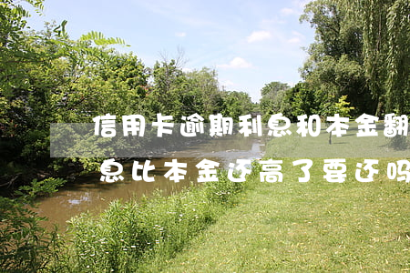 信用卡逾期利息和本金翻了4倍(逾期两年利息比本金还高了要还吗)