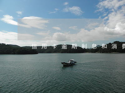 信用卡逾期利息和消費利息(信用卡 逾期 費用)