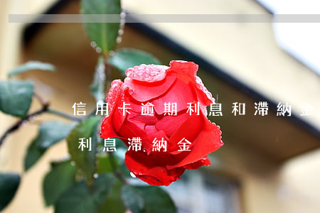 信用卡逾期利息和滯納金分別算嗎-信用卡 利息 滯納金