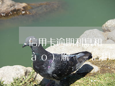 信用卡逾期利息和滯納金可以申請調(diào)解嗎-信用卡逾期利息和滯納金可以申請調(diào)解嗎合法嗎