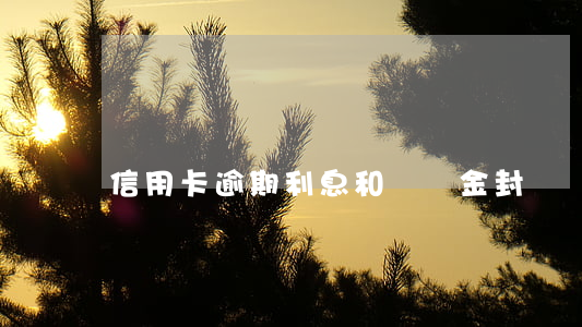 信用卡逾期利息和滯納金封頂嗎