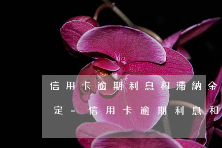 信用卡逾期利息和滯納金法律規(guī)定-信用卡逾期利息和滯納金法律規(guī)定是多少