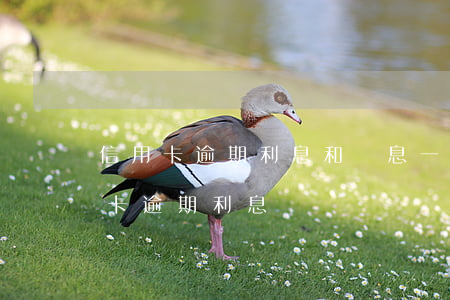 信用卡逾期利息和罰息一直不停(各銀行信用卡逾期利息)