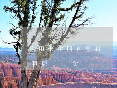 信用卡逾期利息和違約金什么意思-信用卡 利息 違約金