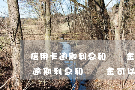 信用卡逾期利息和違約金可以退嗎-信用卡逾期利息和違約金可以退嗎多少錢