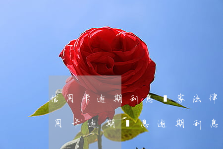 信用卡逾期利息國家法律規(guī)定 信用卡 逾期罰息 逾期利息